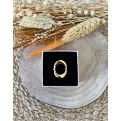 BAGUE CÉDRIC