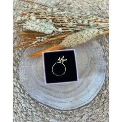BAGUE IDA