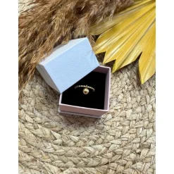 BAGUE JERRY