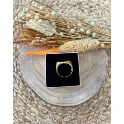 BAGUE THIERY