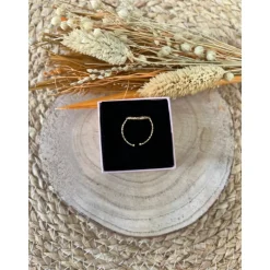 BAGUE XIA