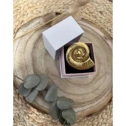 BAGUE ZAÏA