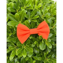 NOEUD CACHE SOUTIEN-GORGE ORIANNE ORANGE