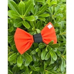 NOEUD CACHE SOUTIEN-GORGE ORIANNE ORANGE