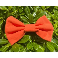 NOEUD CACHE SOUTIEN-GORGE ORIANNE ORANGE