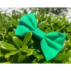 NOEUD CACHE SOUTIEN-GORGE ORIANNE VERT POMME