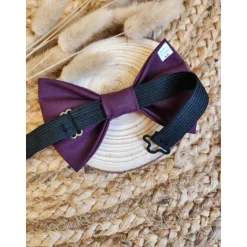 NOEUD PAPILLON - PRUNE